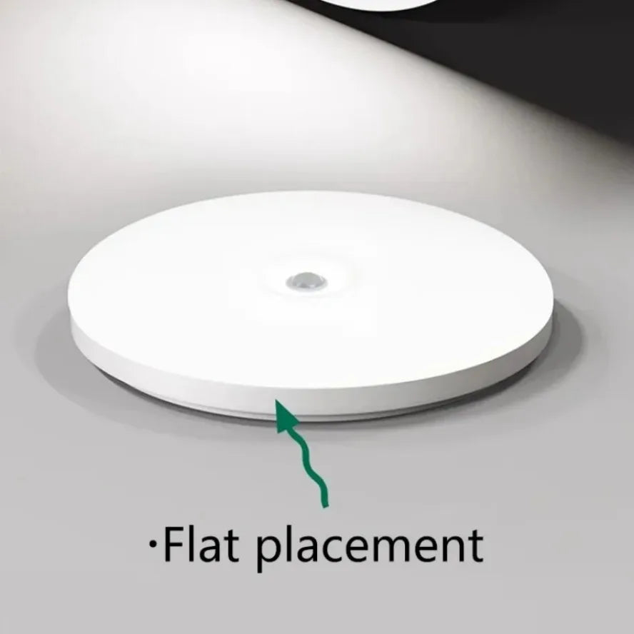 Motion Sensor LED Ceiling Light Corridor Human Infrared Sensing Night Light Ceiling Light Corridor Smart Home Lighting Lustres