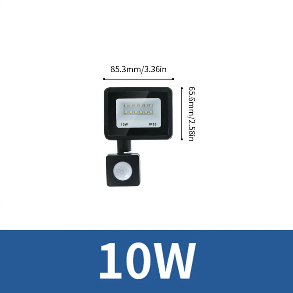 LED Flood Light PIR Motion Sensor 10W 20W 30W 50W 100W 150W 200W 300W AC220V IP66 Waterproof Spotlight Street Floodlight Outdoor