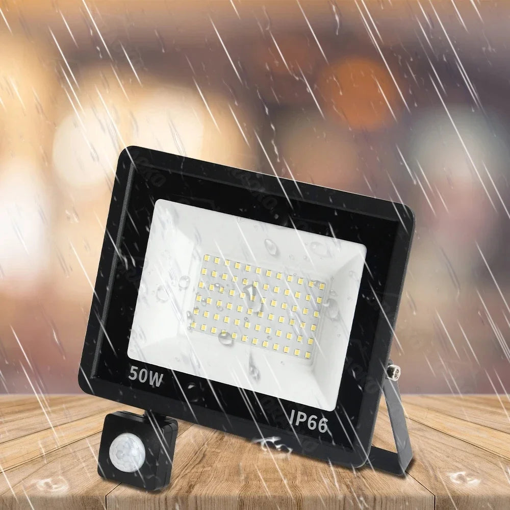 Lamp With Motion Sensor Interior 220V 10W 20W 30W 50W 100W Outdoor Led Flood Light Waterproof Led Spotlight Focus Floodlight