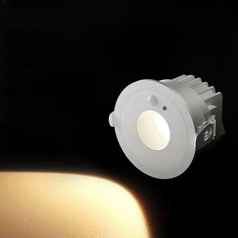 LED PIR Motion sensor Downlight 10W 20W 30W thick aluminum Anti-glare Spotlight for Hallway Corner Stair Home Night Light AC220V